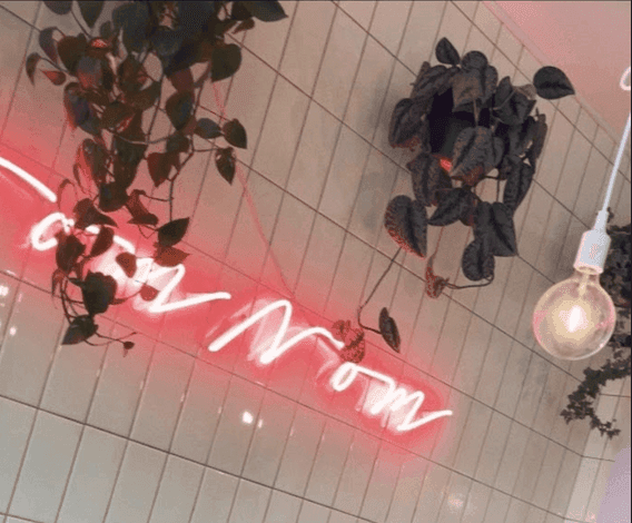 Featured image for article: 10+ Of The Tastiest Vegan Cafes And Delis In Munich