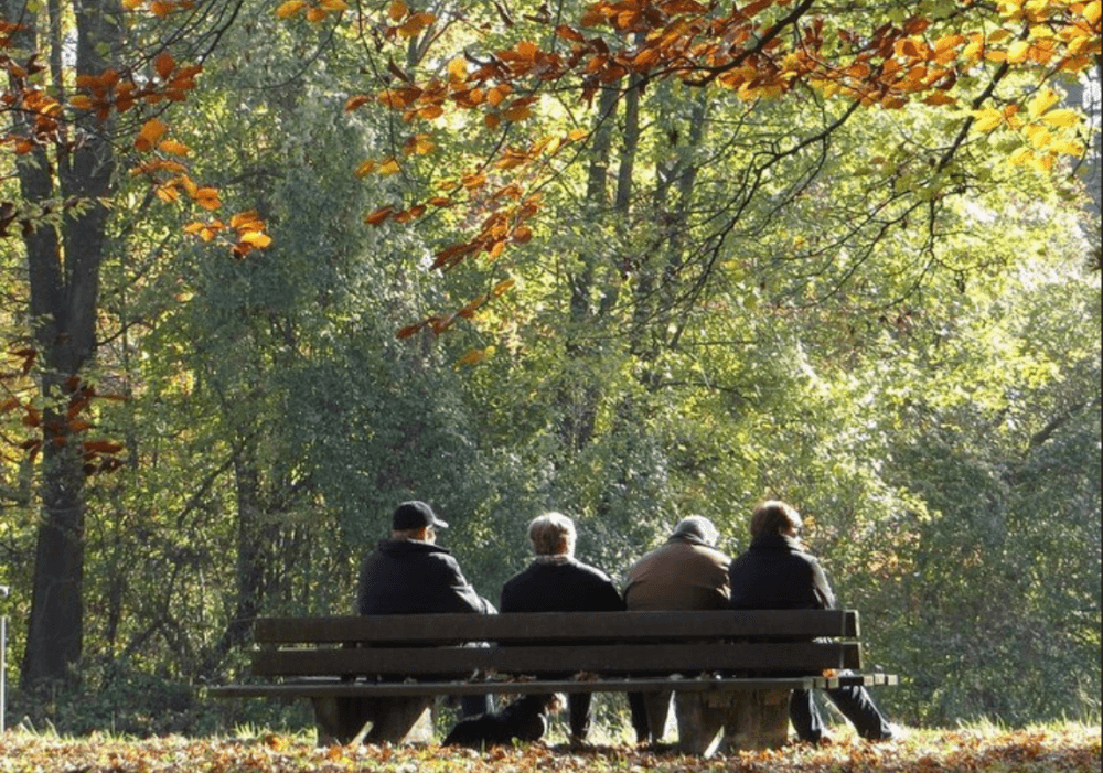 Featured image for article: Free November Events In Munich