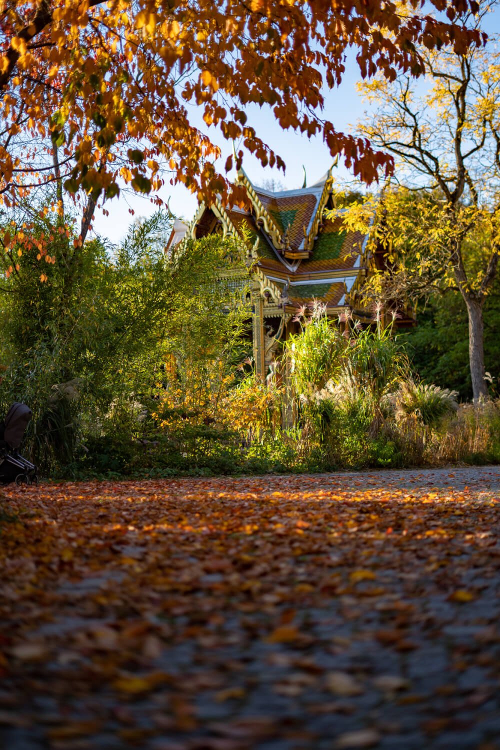 The 8 Best Places to See Autumn Foliage in Munich