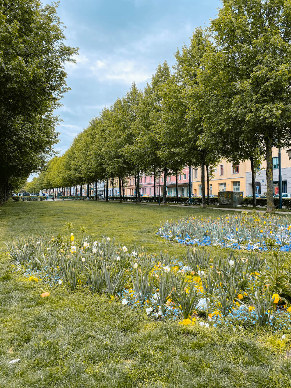 DIY Haidhausen Walking Tour: A Self-Guided Walk Through One of Munich's Prettiest Neighbourhoods