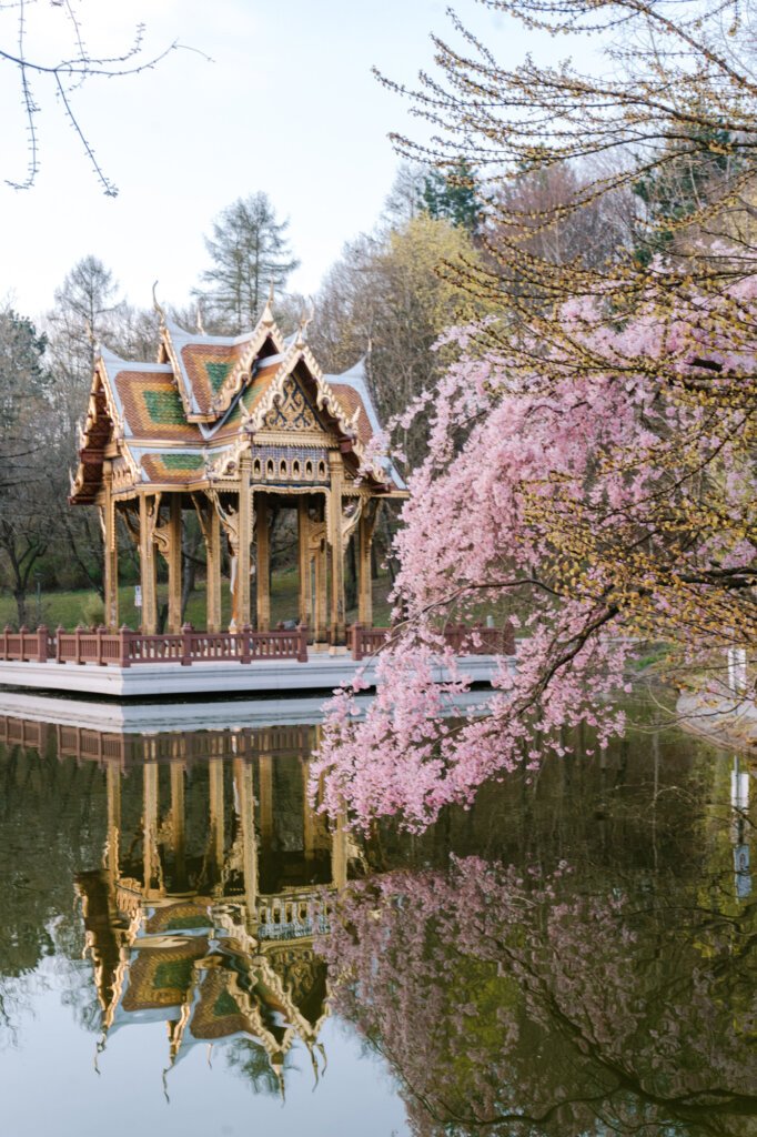 The Best Munich Cherry Blossom Spots (Blooming Right Now!)