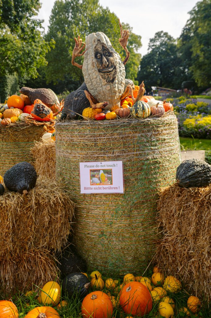 Visit The World's Largest Pumpkin Festival From Munich!