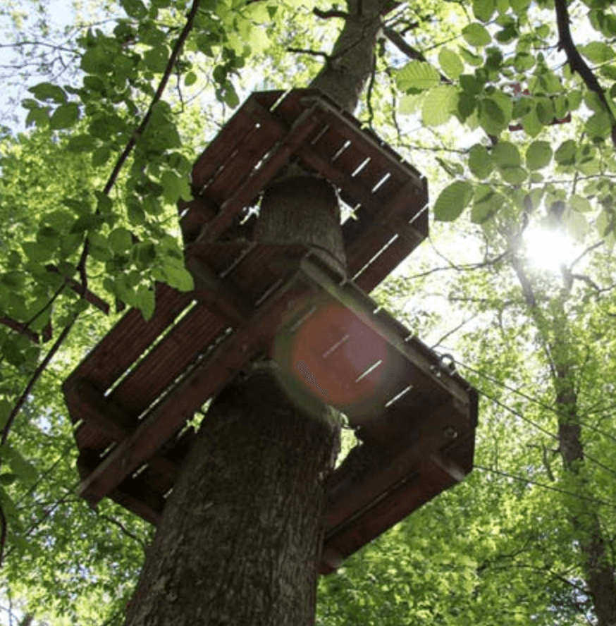 Summer Date Ideas In Munich Tree Climbing Park Kletter Park