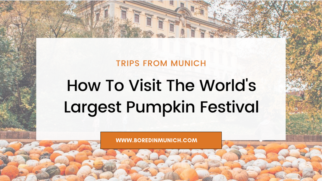 The World's Largest Pumpkin Festival Bored in Munich